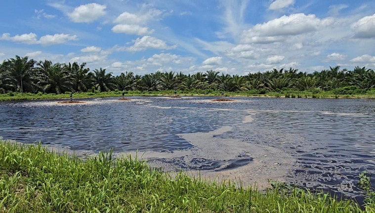 Aeration pond